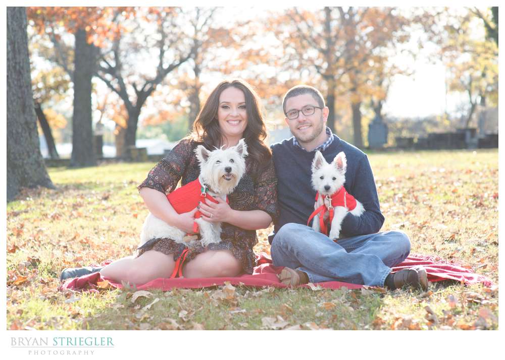 Pets at a wedding